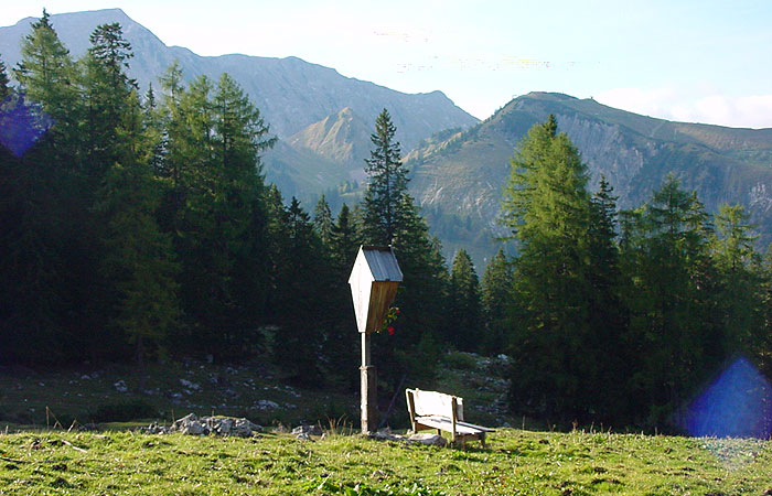 Seekaralm in Achenkirch am Achensee in Tirol im Naturschutzgebiet Karwendel